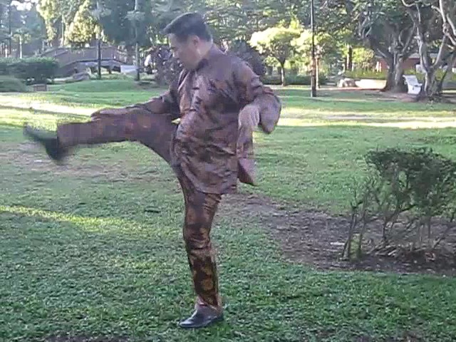 Wu Chuan You Style Taijiquan